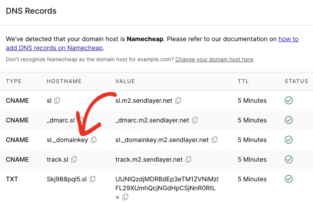 A published DKIM DNS TXT record shown in a DNS host panel with the selector, TXT type, and v=DKIM1 value
